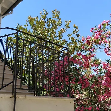 Maresol Lefkada Appart hôtel Nikiana